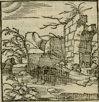 Picture 12 of 195 from Orvs Apollo de Ægypte De la signification des notes hieroglyphiques des Aegyptiens : cest a dire des figures par les quelles ilz escripuoient leurs mysteres secretz, & les choses sainctes & diuines (1543), leaf 21
