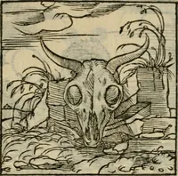 Picture 193 of 195 from Orvs Apollo de Ægypte De la signification des notes hieroglyphiques des Aegyptiens : cest a dire des figures par les quelles ilz escripuoient leurs mysteres secretz, & les choses sainctes & diuines (1543), leaf 210