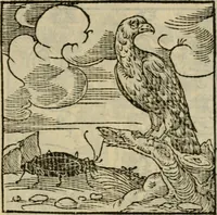 Picture 13 of 195 from Orvs Apollo de Ægypte De la signification des notes hieroglyphiques des Aegyptiens : cest a dire des figures par les quelles ilz escripuoient leurs mysteres secretz, & les choses sainctes & diuines (1543), leaf 26