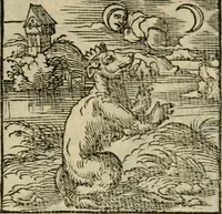 Picture 16 of 195 from Orvs Apollo de Ægypte De la signification des notes hieroglyphiques des Aegyptiens : cest a dire des figures par les quelles ilz escripuoient leurs mysteres secretz, & les choses sainctes & diuines (1543), leaf 30