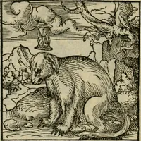 Picture 17 of 195 from Orvs Apollo de Ægypte De la signification des notes hieroglyphiques des Aegyptiens : cest a dire des figures par les quelles ilz escripuoient leurs mysteres secretz, & les choses sainctes & diuines (1543), leaf 31