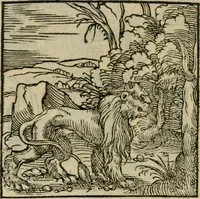Picture 21 of 195 from Orvs Apollo de Ægypte De la signification des notes hieroglyphiques des Aegyptiens : cest a dire des figures par les quelles ilz escripuoient leurs mysteres secretz, & les choses sainctes & diuines (1543), leaf 35