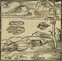 Picture 29 of 195 from Orvs Apollo de Ægypte De la signification des notes hieroglyphiques des Aegyptiens : cest a dire des figures par les quelles ilz escripuoient leurs mysteres secretz, & les choses sainctes & diuines (1543), leaf 42