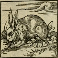 Picture 32 of 195 from Orvs Apollo de Ægypte De la signification des notes hieroglyphiques des Aegyptiens : cest a dire des figures par les quelles ilz escripuoient leurs mysteres secretz, & les choses sainctes & diuines (1543), leaf 44