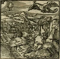 Picture 41 of 195 from Orvs Apollo de Ægypte De la signification des notes hieroglyphiques des Aegyptiens : cest a dire des figures par les quelles ilz escripuoient leurs mysteres secretz, & les choses sainctes & diuines (1543), leaf 51