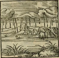 Picture 43 of 195 from Orvs Apollo de Ægypte De la signification des notes hieroglyphiques des Aegyptiens : cest a dire des figures par les quelles ilz escripuoient leurs mysteres secretz, & les choses sainctes & diuines (1543), leaf 53