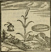 Picture 44 of 195 from Orvs Apollo de Ægypte De la signification des notes hieroglyphiques des Aegyptiens : cest a dire des figures par les quelles ilz escripuoient leurs mysteres secretz, & les choses sainctes & diuines (1543), leaf 54