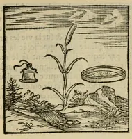 Picture 45 of 195 from Orvs Apollo de Ægypte De la signification des notes hieroglyphiques des Aegyptiens : cest a dire des figures par les quelles ilz escripuoient leurs mysteres secretz, & les choses sainctes & diuines (1543), leaf 55