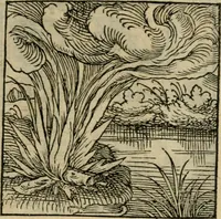 Picture 48 of 195 from Orvs Apollo de Ægypte De la signification des notes hieroglyphiques des Aegyptiens : cest a dire des figures par les quelles ilz escripuoient leurs mysteres secretz, & les choses sainctes & diuines (1543), leaf 60