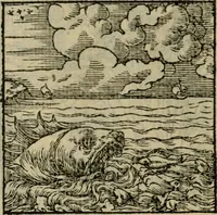 Picture 49 of 195 from Orvs Apollo de Ægypte De la signification des notes hieroglyphiques des Aegyptiens : cest a dire des figures par les quelles ilz escripuoient leurs mysteres secretz, & les choses sainctes & diuines (1543), leaf 61