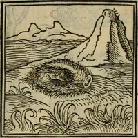 Picture 51 of 195 from Orvs Apollo de Ægypte De la signification des notes hieroglyphiques des Aegyptiens : cest a dire des figures par les quelles ilz escripuoient leurs mysteres secretz, & les choses sainctes & diuines (1543), leaf 64