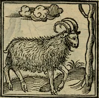 An illustration from Orvs Apollo de Ægypte De la signification des notes hieroglyphiques des Aegyptiens : cest a dire des figures par les quelles ilz escripuoient leurs mysteres secretz, & les choses sainctes & diuines (1543)