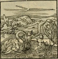 Picture 57 of 195 from Orvs Apollo de Ægypte De la signification des notes hieroglyphiques des Aegyptiens : cest a dire des figures par les quelles ilz escripuoient leurs mysteres secretz, & les choses sainctes & diuines (1543), leaf 72