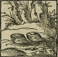 Picture 58 of 195 from Orvs Apollo de Ægypte De la signification des notes hieroglyphiques des Aegyptiens : cest a dire des figures par les quelles ilz escripuoient leurs mysteres secretz, & les choses sainctes & diuines (1543), leaf 73
