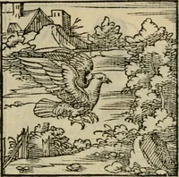 An illustration from Orvs Apollo de Ægypte De la signification des notes hieroglyphiques des Aegyptiens : cest a dire des figures par les quelles ilz escripuoient leurs mysteres secretz, & les choses sainctes & diuines (1543)