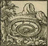 Picture 60 of 195 from Orvs Apollo de Ægypte De la signification des notes hieroglyphiques des Aegyptiens : cest a dire des figures par les quelles ilz escripuoient leurs mysteres secretz, & les choses sainctes & diuines (1543), leaf 76