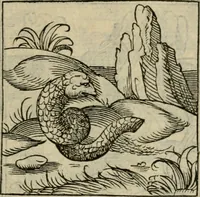 Picture 65 of 195 from Orvs Apollo de Ægypte De la signification des notes hieroglyphiques des Aegyptiens : cest a dire des figures par les quelles ilz escripuoient leurs mysteres secretz, & les choses sainctes & diuines (1543), leaf 80