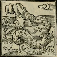 An illustration from Orvs Apollo de Ægypte De la signification des notes hieroglyphiques des Aegyptiens : cest a dire des figures par les quelles ilz escripuoient leurs mysteres secretz, & les choses sainctes & diuines (1543)
