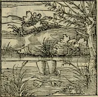An illustration from Orvs Apollo de Ægypte De la signification des notes hieroglyphiques des Aegyptiens : cest a dire des figures par les quelles ilz escripuoient leurs mysteres secretz, & les choses sainctes & diuines (1543)