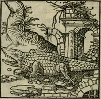 An illustration from Orvs Apollo de Ægypte De la signification des notes hieroglyphiques des Aegyptiens : cest a dire des figures par les quelles ilz escripuoient leurs mysteres secretz, & les choses sainctes & diuines (1543)