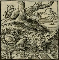 Picture 70 of 195 from Orvs Apollo de Ægypte De la signification des notes hieroglyphiques des Aegyptiens : cest a dire des figures par les quelles ilz escripuoient leurs mysteres secretz, & les choses sainctes & diuines (1543), leaf 85