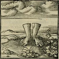 Picture 74 of 195 from Orvs Apollo de Ægypte De la signification des notes hieroglyphiques des Aegyptiens : cest a dire des figures par les quelles ilz escripuoient leurs mysteres secretz, & les choses sainctes & diuines (1543), leaf 89