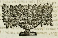 An illustration from Ossequio d'elicona : douuto dalle muse alla laurea di filosofia, et medicina del Signor Anania Pozzi : sotto gli auspitie dell' illustrissime, & reuerendissimo Monsignore Agostino Isimbardi conte &c. Vescouo di Cremona