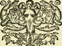 An illustration from Osservazioni anatomiche (1687)