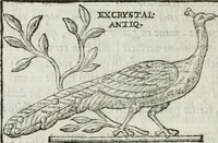 An illustration from Osservazioni istoriche sopra alcuni medaglioni antichi (1698)