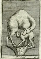 Picture 105 of 138 from Osservazioni istoriche sopra alcuni medaglioni antichi (1698), leaf 468