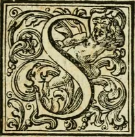 An illustration from Osservazioni sopra il libro della Felsina pittrice per difesa di Raffaello da Urbino, dei Caracci, e della loro scuola (1703)