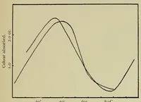 An illustration from The Chemistry and Physics of Dyeing (1906)