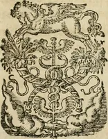 An illustration from Osualdi Crollii Veterani Hassi Basilica chymica : continens philosophicam propria laborum experientia confirmatum descriptionem & usum remediorum chymicorum selectissimorum è lumine gratiae & naturae desumptorum : in fine libri additus est eiusdem autoris tractatus nouus De signaturis rerum internis (1609)