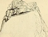 An illustration from Other famous homes of Great Britain and their stories (1902)