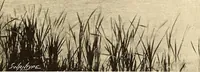 Picture 70 of 184 from Other famous homes of Great Britain and their stories (1902), leaf 156