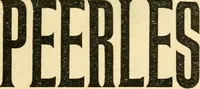 An illustration from The other way : respectfully dedicated to all good housewives (1899)