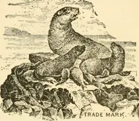 An illustration from The other way : respectfully dedicated to all good housewives (1899)