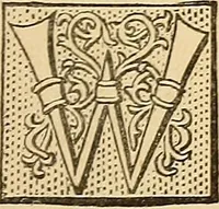 Picture 7 of 12 from The other world; or, Glimpses of the supernatural. Being facts, records, and traditions relating to dreams, omens, miraculous occurrences, apparitions, wraiths, warnings, second-sight, witchcraft, necromancy, etc (1875), leaf 144