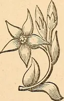 Picture 8 of 12 from The other world; or, Glimpses of the supernatural. Being facts, records, and traditions relating to dreams, omens, miraculous occurrences, apparitions, wraiths, warnings, second-sight, witchcraft, necromancy, etc (1875), leaf 174