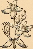Picture 10 of 12 from The other world; or, Glimpses of the supernatural. Being facts, records, and traditions relating to dreams, omens, miraculous occurrences, apparitions, wraiths, warnings, second-sight, witchcraft, necromancy, etc (1875), leaf 212