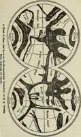 An illustration from Other worlds than ours (1902)