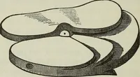 An illustration from Other worlds than ours (1902)