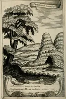 An illustration from Otia sacra : optima fides (1648)