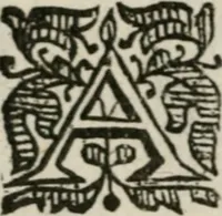 An illustration from Otia sacra : optima fides (1648)