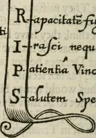 An illustration from Otia sacra : optima fides (1648)