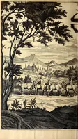 An illustration from Ottonis de Guericke Experimenta nova (ut vocantur) Magdeburgica de vacuo spatio (1672)