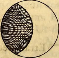 An illustration from Ottonis de Guericke Experimenta nova (ut vocantur) Magdeburgica de vacuo spatio (1672)