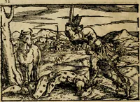 An illustration from Ouidio istorico, politico, morale : breuemente spiegato, e delineato con artificiose figure, accresciuta questa quinta impressione di nuoue allegorie (1696)