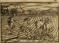 An illustration from Ouidio istorico, politico, morale : breuemente spiegato, e delineato con artificiose figure, accresciuta questa quinta impressione di nuoue allegorie (1696)