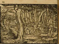 An illustration from Ouidio istorico, politico, morale : breuemente spiegato, e delineato con artificiose figure, accresciuta questa quinta impressione di nuoue allegorie (1696)